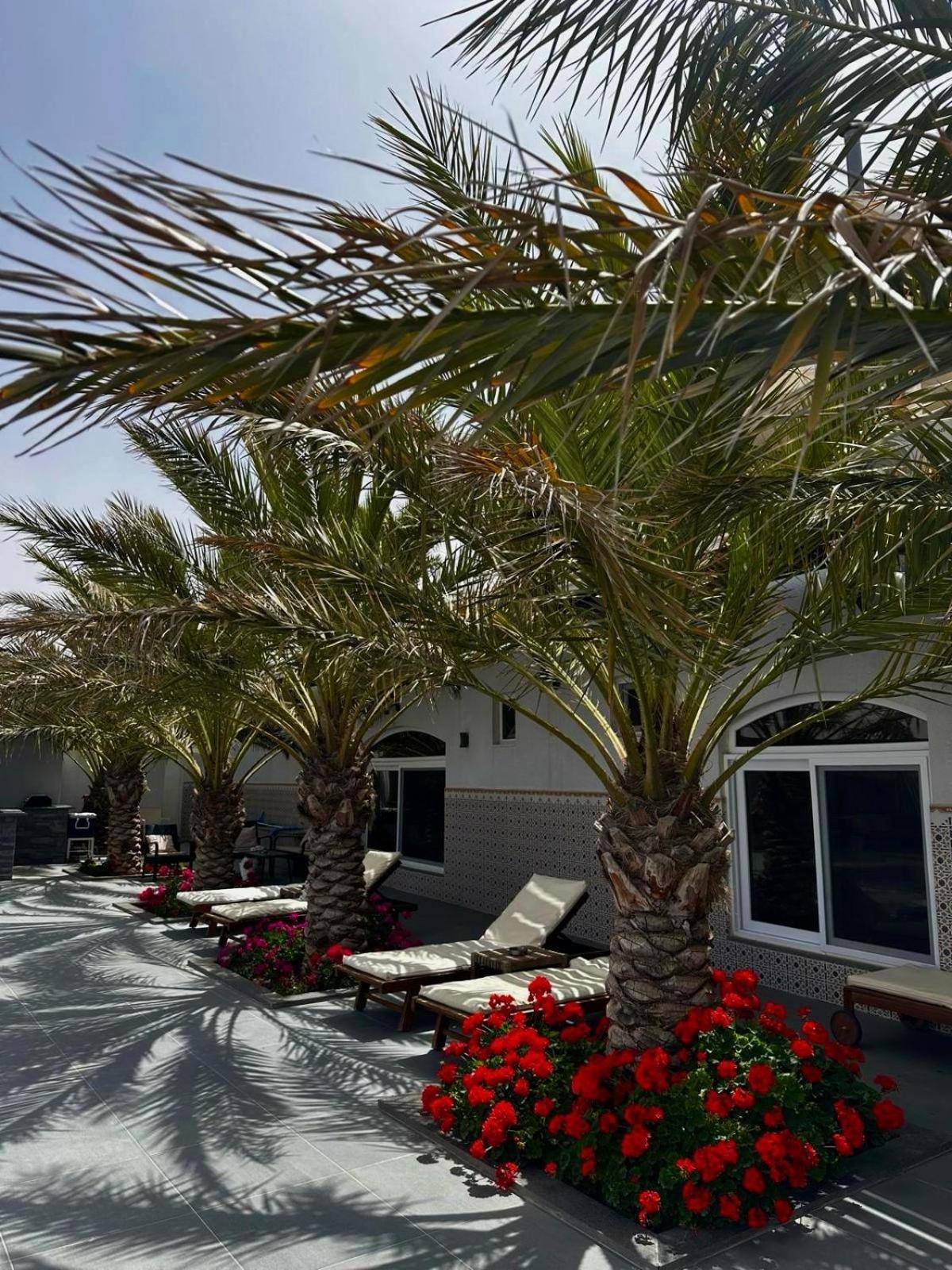 Golden Rays Chalet مادابا المظهر الخارجي الصورة